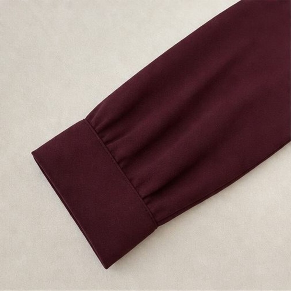 Burgundy Ruffle Blouse - Picture 5 of 6